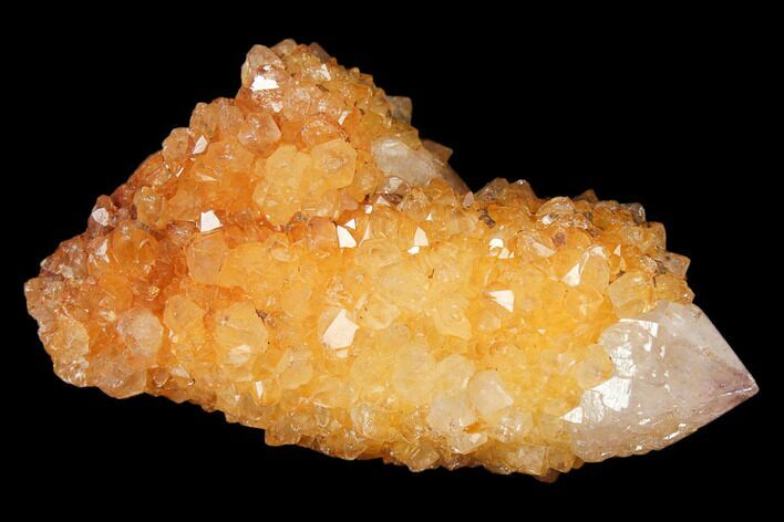 Sunshine Cactus Quartz Crystal - South Africa #122333